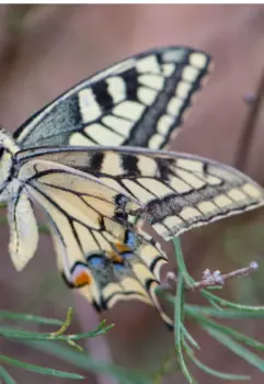 Добавим в серость краски