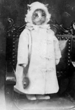 Добрая, добрая притча