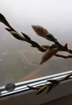 Долгая и счастливая жизнь