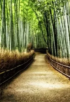 Долине черного бамбука