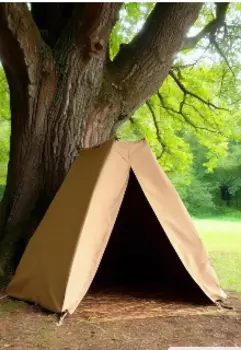 Дом под дубом. Начало