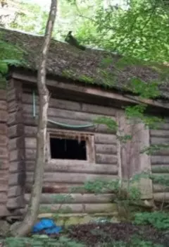 Дом с запахом смерти