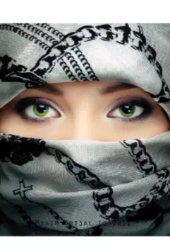 Донор на одну ночь