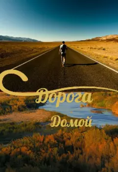 Дорога домой