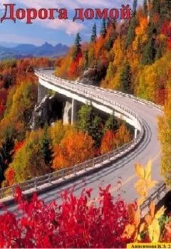 Дорога домой
