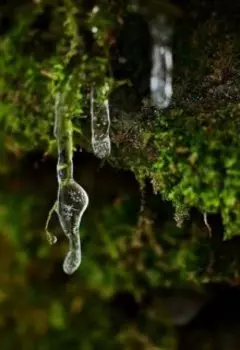 Дороги к счастью