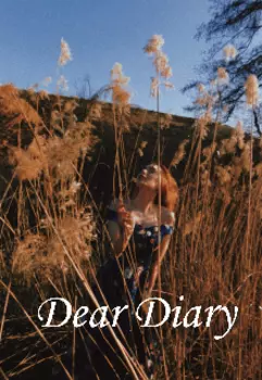 Дорогой дневник