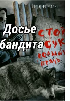 Досье бандита