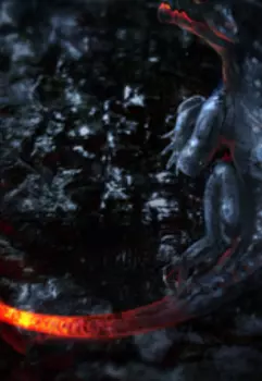 Драконьи бега