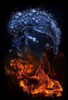 Драконы: огонь и вода