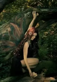 Дри и мишка 2