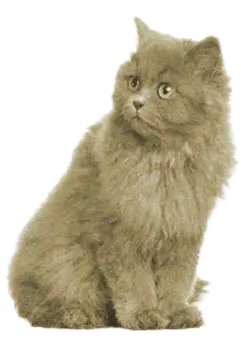 Дурацкая вешалка