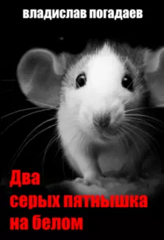 Два серых пятнышка на белом