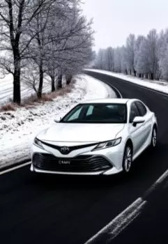 Две черные полосы на дороге