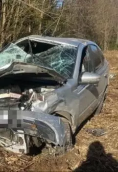 Две черные полосы на дороге