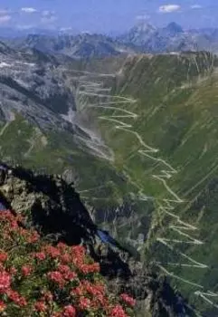 Две дороги, два пути