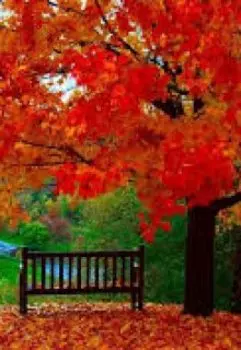 Двойной мираж