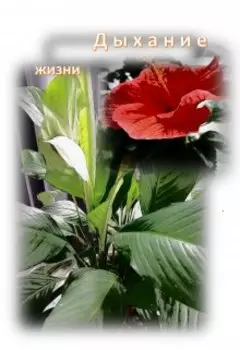 Дыхание жизни