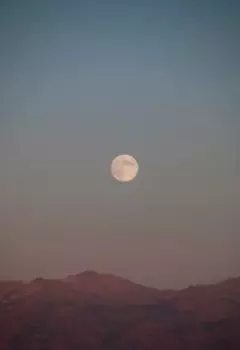 Единый ли вопрос на точке поворота?