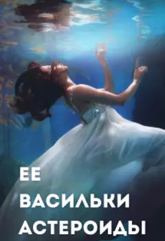 Ее Васильки Астероиды