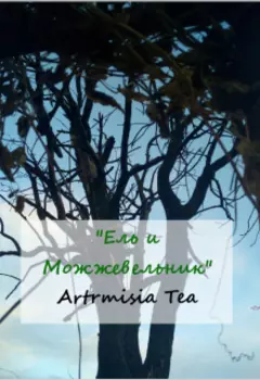 Ель и можжевельник