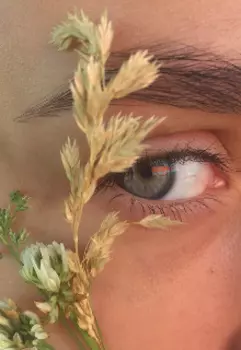 Ева