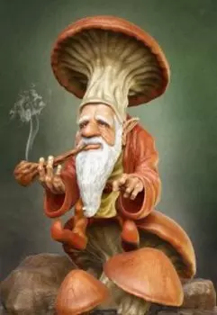 Фея, гномы и блондин