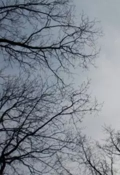 Философия жизни