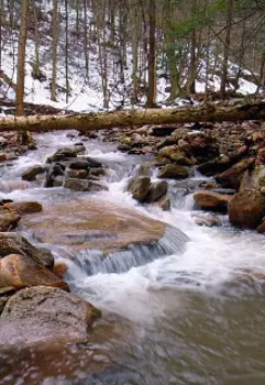 Финансовый- ручей.