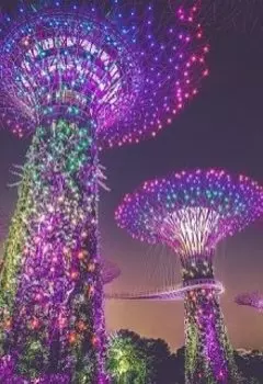 Фиолетовая загадка