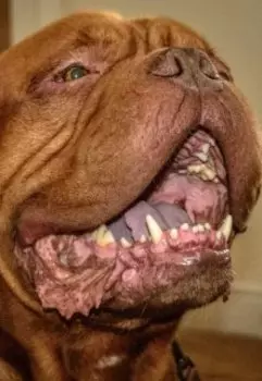 Габриэлла де Эль Сискар