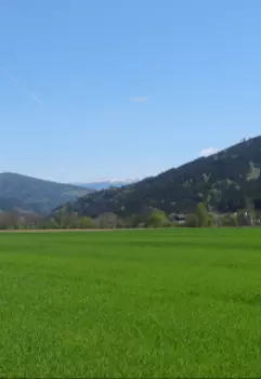 Где-то в раю...