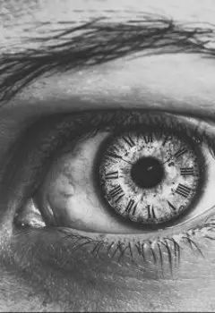 Глава 24. Счастье