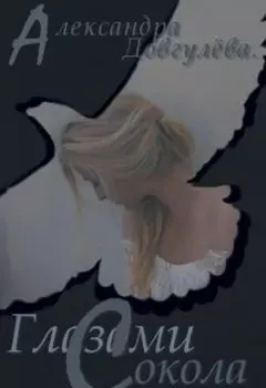 Глазами Сокола