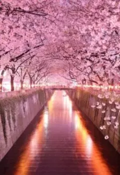 Горький рай