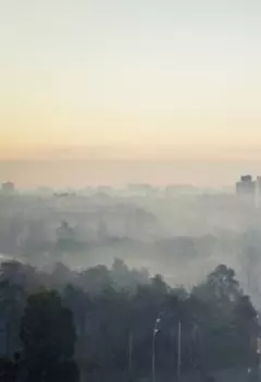 Город и Туман