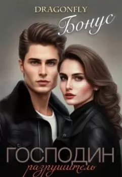 Господин Разрушитель. Бонус