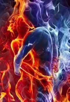 Госпожа из красной комнаты. Книга 1