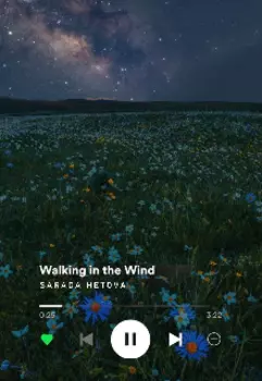 Гуляя По Ветру