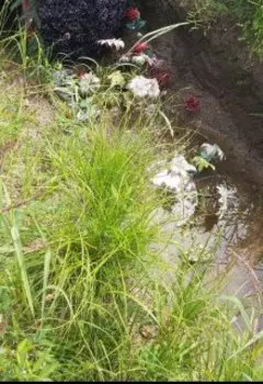 Хеппи Энда не будет