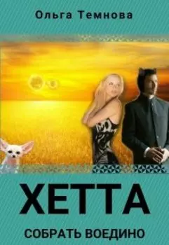 Хетта. Собрать воедино