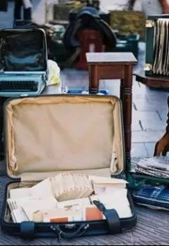 Хроники стервозной феи