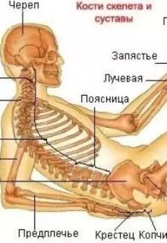 Хруст в суставах