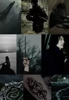 И взойдет солнце