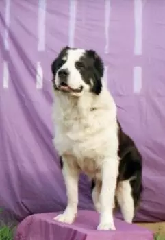 Идентификация-2