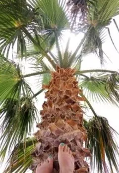 Игра только начинается!