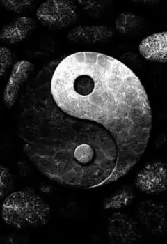 Инь-Янь:разрыв вселенной