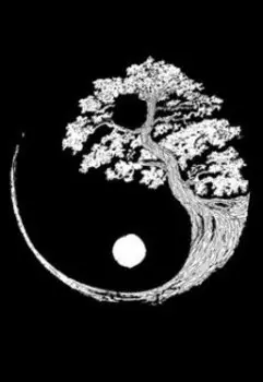 Инь-Янь: Разрыв вселенной. Часть 2.