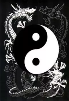 Инь-Янь Разрыв вселенной. Часть 3.