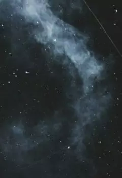 Иная жизнь для Иной